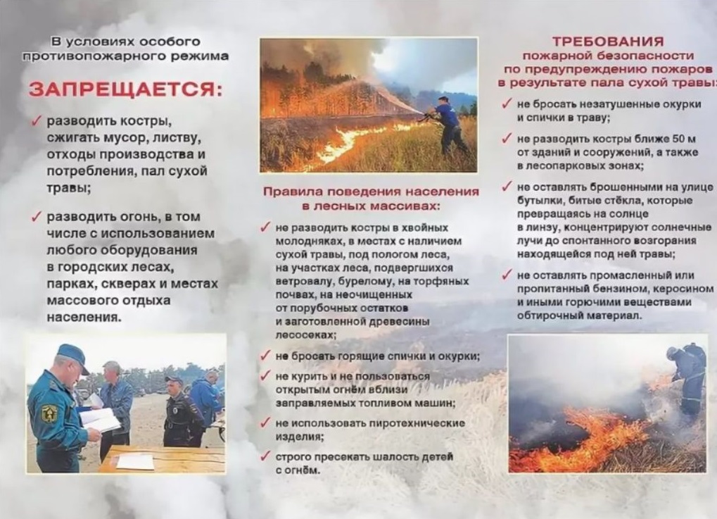 Изображения.