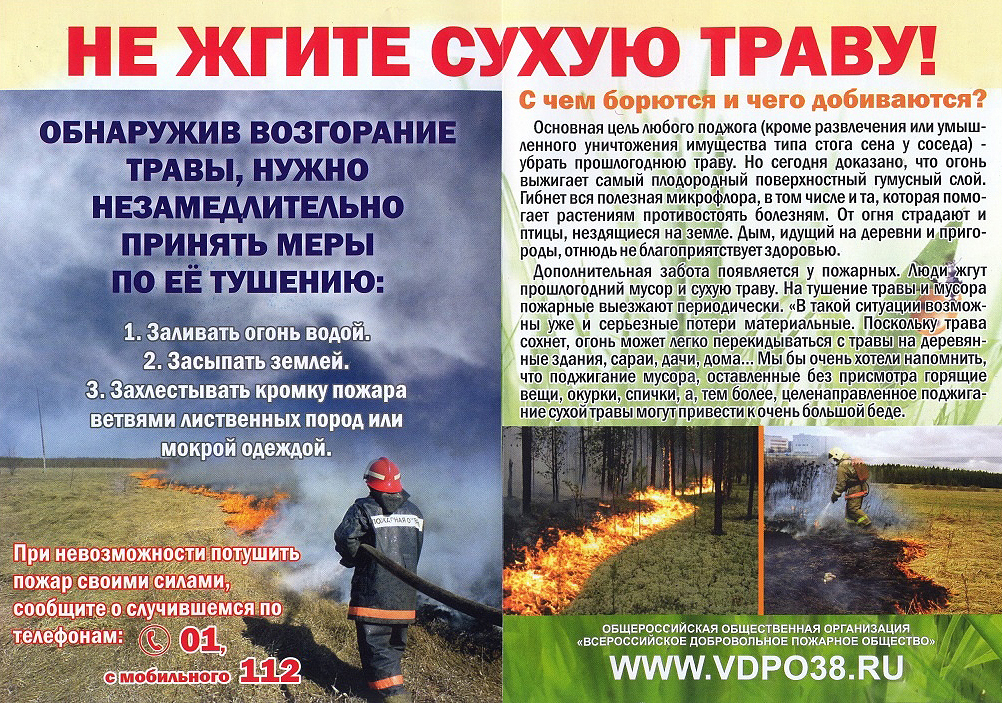 Изображения.